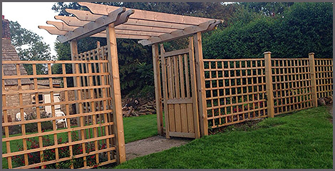 Back garden
