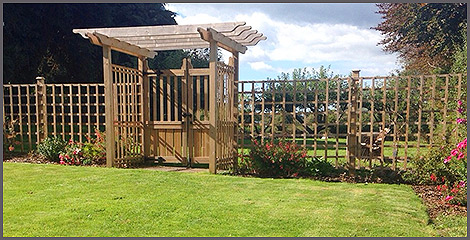 The garden